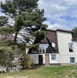 Budynek-w-otoczeniu-drzew-i-krzewow-–-wiosenny-widok-1-scaled