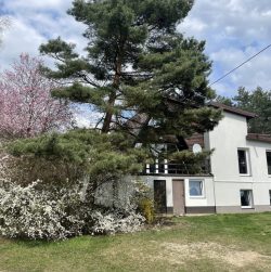 Ogrod-i-elewacja-budynku-w-sezonie-wiosenno-letnim-1-scaled