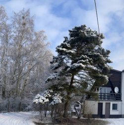 Zimowa-perspektywa-dzialki-z-widokiem-na-las-1-scaled